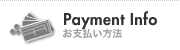 Payment Info / ����ʧ����ˡ