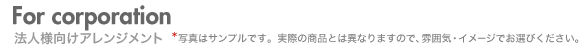For corporation / ˡ�͸�������󥸥���